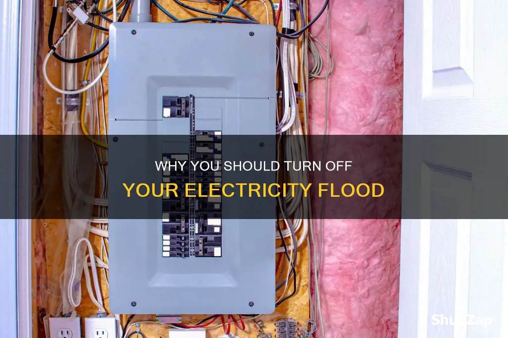 should i turn off my electricity flood