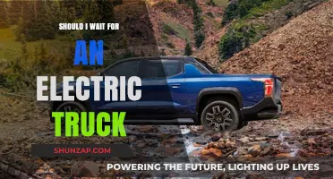 Electric Trucks: Worth the Wait or Not?