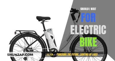 Electric Bike Buying: To Wait or Not to Wait?