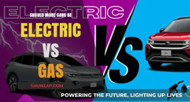 Electric vs. Gas: Which Car Type Should Dominate Our Roads?