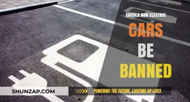 Should Non-Electric Cars Be Banned? Pros, Cons, and Future Implications