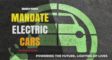 Should Governments Mandate Electric Cars for a Greener Future?