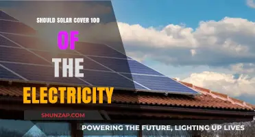 Solar Power: Can It Be Our Sole Electricity Source?