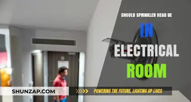 Sprinkler Heads in Electrical Rooms: A Safety Must?