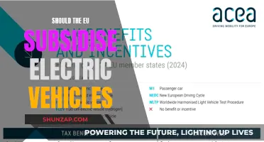 EU Subsidies: A Boost for Electric Vehicle Adoption?