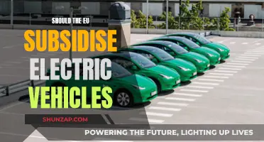 EU Electric Vehicle Subsidies: Worth the Investment?