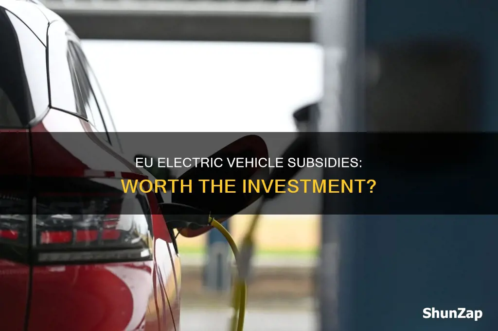 should the eu subsidise electric vehicles