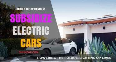 Should Governments Fund Electric Cars? Pros, Cons, and Future Impact