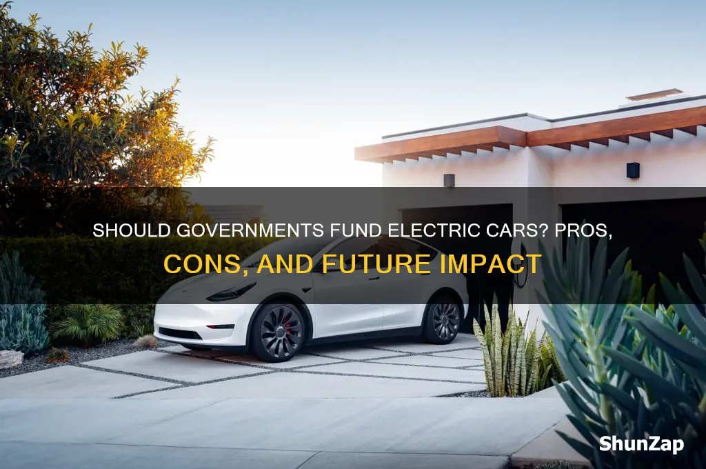 should the government subsidize electric cars
