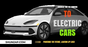 Should the US Embrace Electric Cars for a Greener Future?