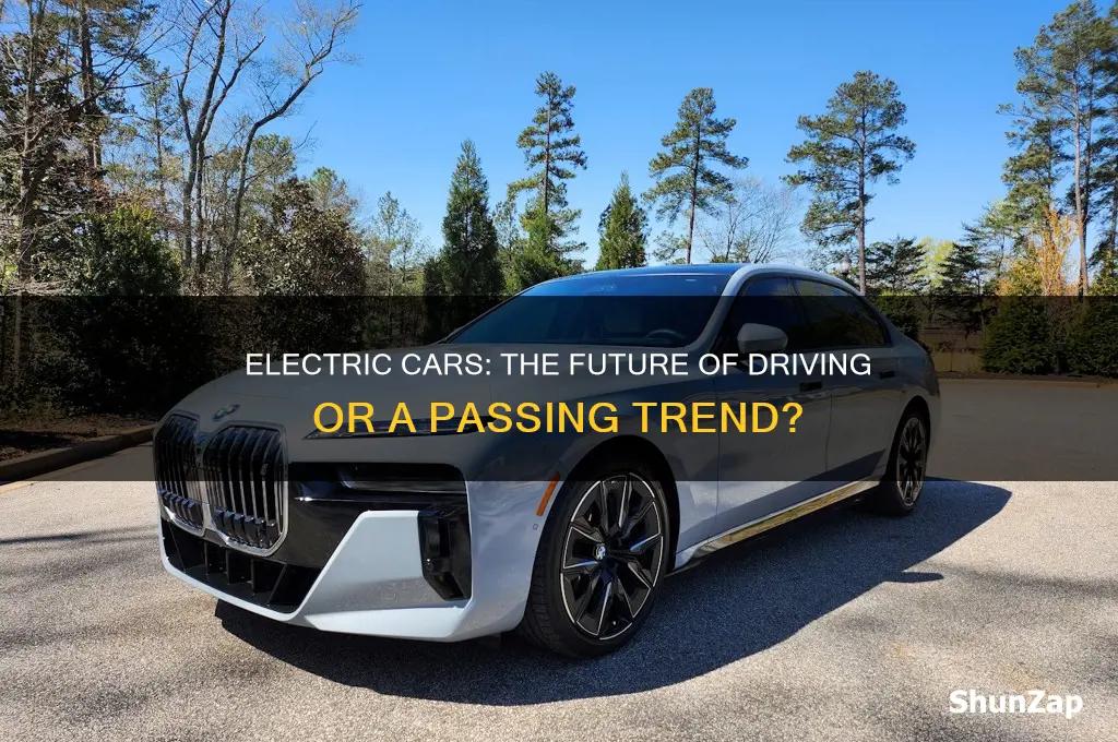 should we convert to electric cars