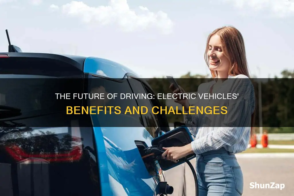 should we switch to electric vehicles