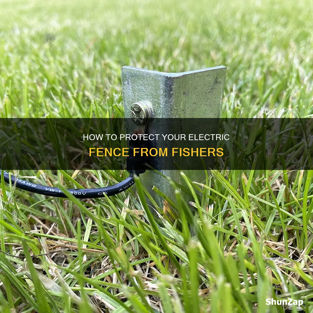 should you bait electric fence for fishers