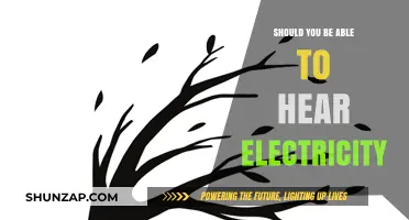 Electricity's Audible Buzz: Can You Hear the Current?