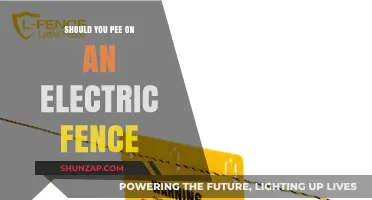 Why You Should Never Pee on Electric Fences