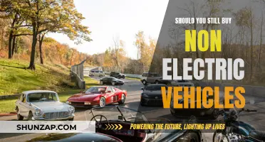 The Future of Transportation: Should You Still Buy Non-Electric Vehicles?