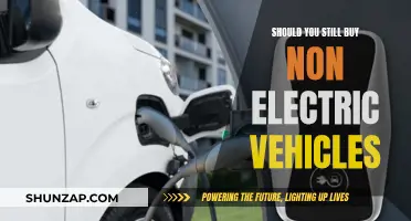 The Future of Non-Electric Vehicles: Buy or Avoid?