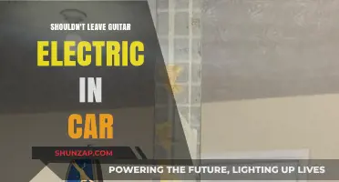 Why Leaving Your Electric Guitar in the Car Is a Bad Idea