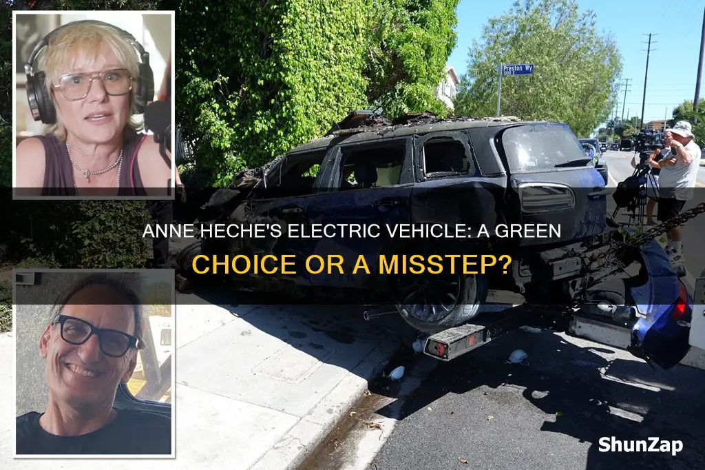 was anne heche driving an electric vehicle