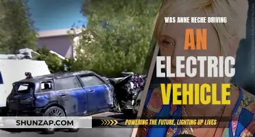 The Mystery of Anne Heche's Car Crash: Electric Vehicle?