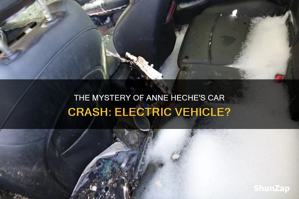 was anne heche driving an electric vehicle