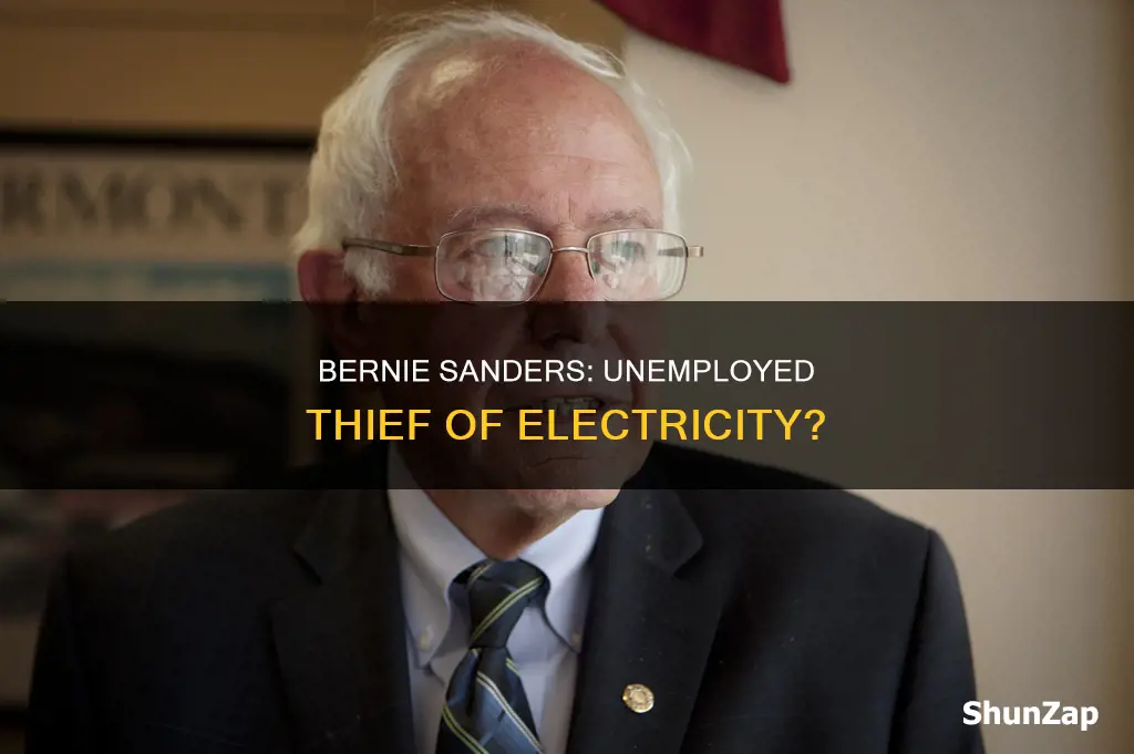 was bernie sanders unemployed and stole electricity