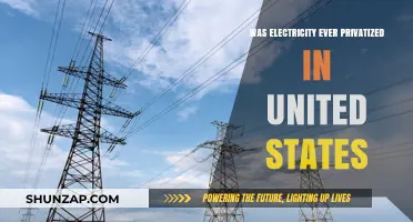 Electricity Privatization: A Historical Perspective in the United States