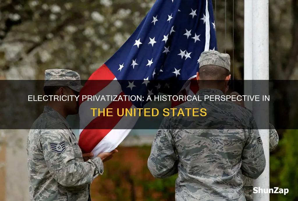 was electricity ever privatized in united states