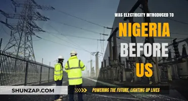Electricity in Nigeria: A Historical Perspective