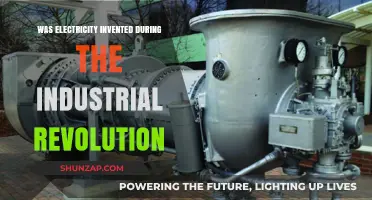 Electricity's Industrial Revolution: Invention and Innovation