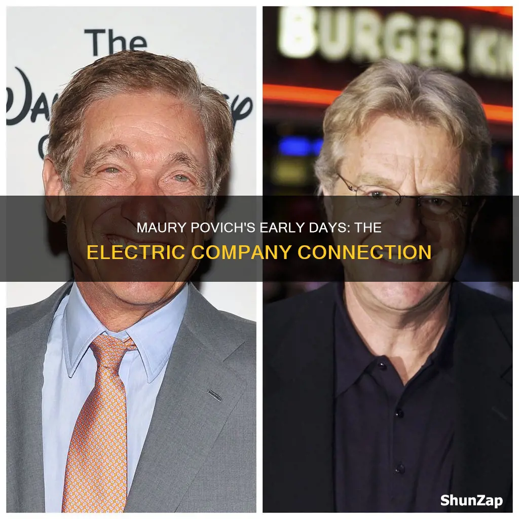 was maury povich on the electric company