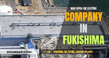 Tepco's Role in the Fukushima Disaster: Examining the Fallout