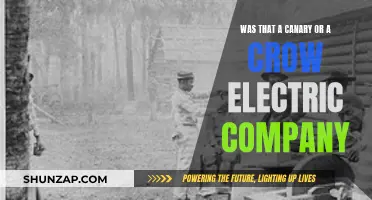 Electric Company's Canary or Crow: What's the Real Tune?