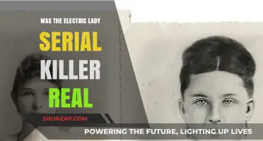 The Electric Lady: Serial Killer Fact or Fiction?