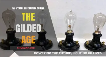 The Gilded Age: Powering the Electric Revolution