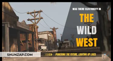 Electricity in the Wild West: A Historical Perspective