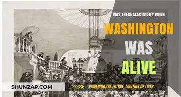 Electricity and Washington: A Historical Perspective