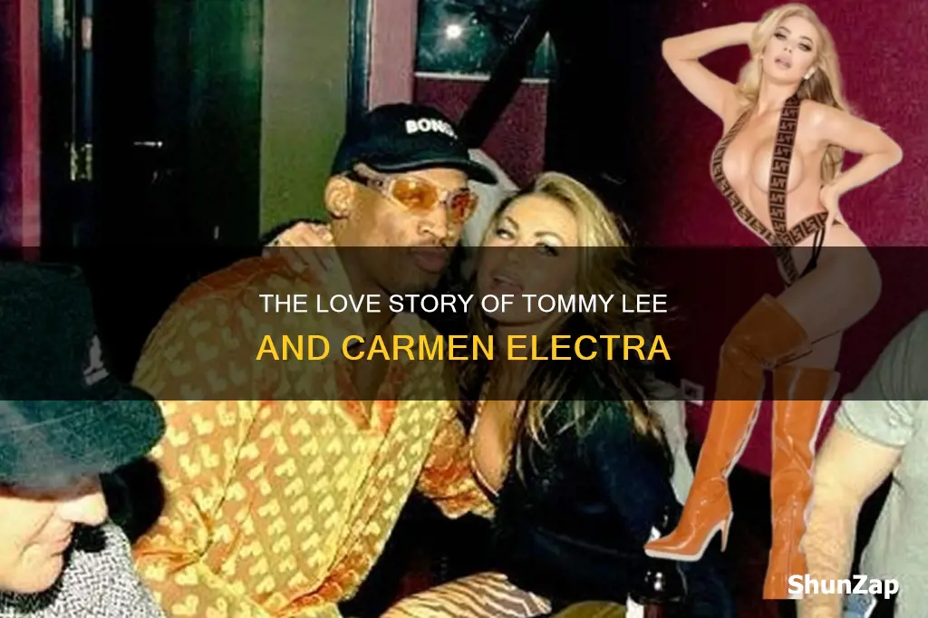 was tommy lee married to carmen electra