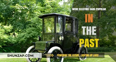 Electric Cars: A Forgotten Past or Future Revived?