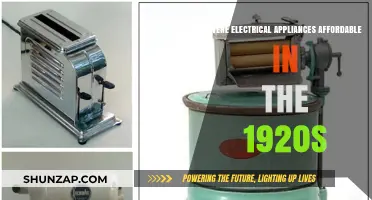 Electrical Appliances: 1920s Affordability and Accessibility