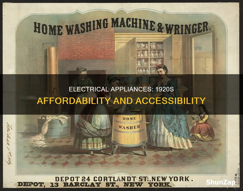 were electrical appliances affordable in the 1920s