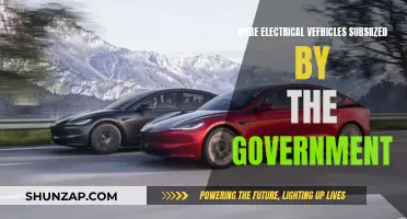Government Support for Electrical Vehicles: Pros and Cons