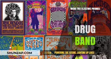 Electric Prunes: Exploring Their Music and Drug Influence