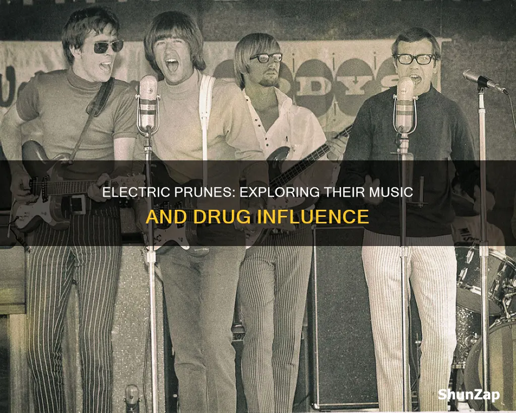 were the electric prunes a drug band