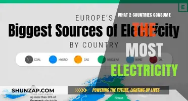 Electricity Consumption: The Top 2 Countries Globally
