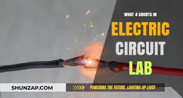 Circuit Shorts: Four Common Electric Mishaps in the Lab