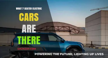 Top Electric 7-Seater Cars: Eco-Friendly Family Transportation Options