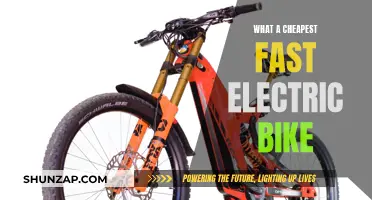 Fast Electric Bikes: Affordable Speedster Options