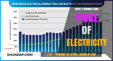Understanding the Average Cost of Electricity by KWh