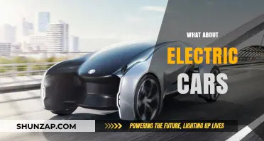 Exploring the Pros, Cons, and Future of Electric Cars Today